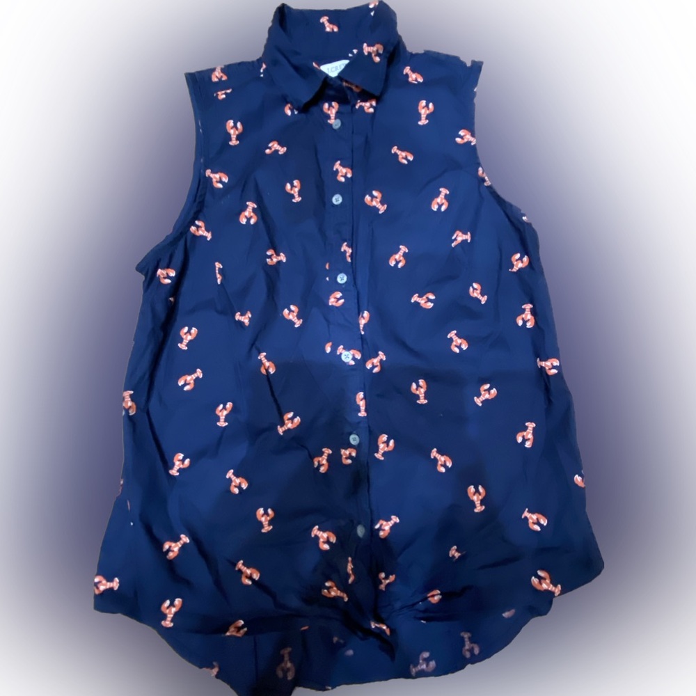 J. Crew Womens Blue Sleeveless Button down poplin Nautical shirt